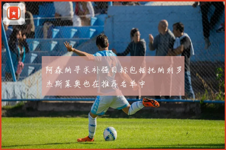 阿森纳寻求补强目标包括托纳利罗杰斯莱奥也在推荐名单中